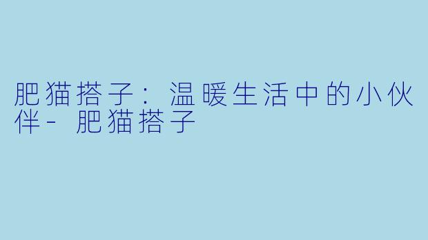肥猫搭子：温暖生活中的小伙伴-肥猫搭子