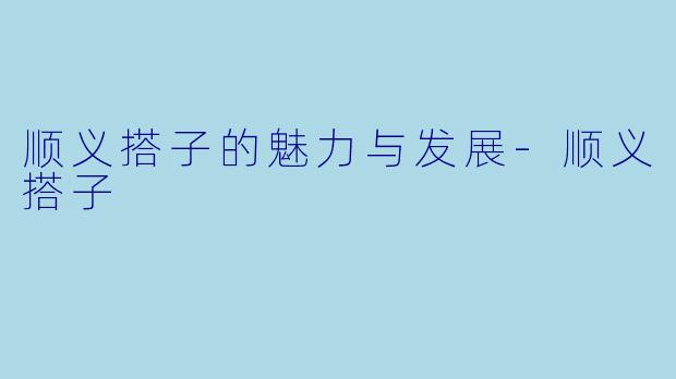 顺义搭子的魅力与发展