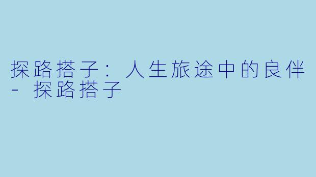探路搭子：人生旅途中的良伴-探路搭子