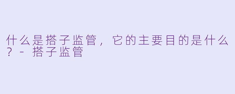 什么是搭子监管,它的主要目的是什么?