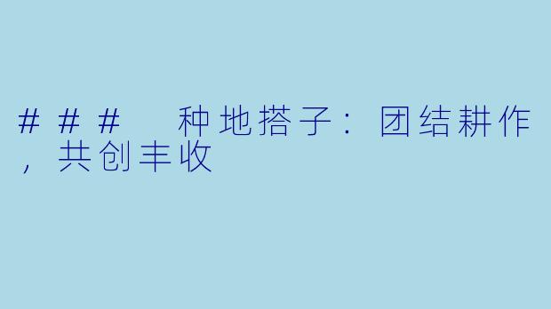 ### 种地搭子：团结耕作，共创丰收