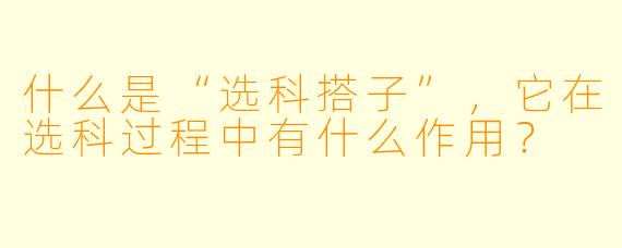 什么是“选科搭子”,它在选科过程中有什么作用?