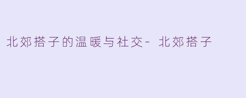 北郊搭子的温暖与社交-北郊搭子