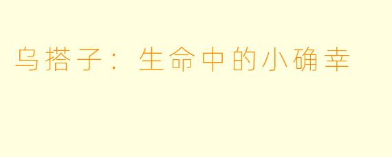 乌搭子：生命中的小确幸