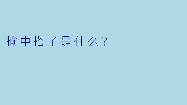 榆中搭子是什么？  