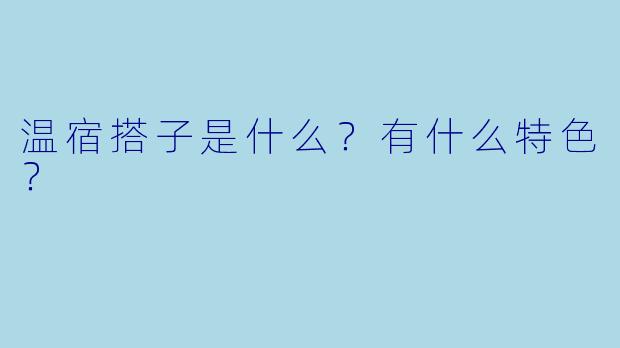 温宿搭子是什么？有什么特色？