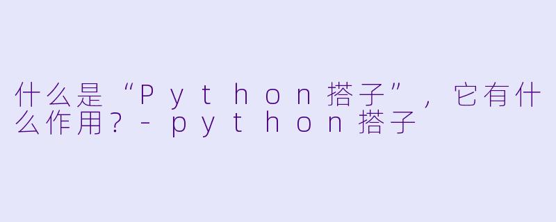 什么是“Python搭子”,它有什么作用?