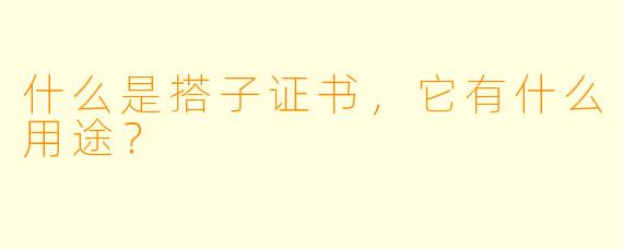 什么是搭子证书,它有什么用途?