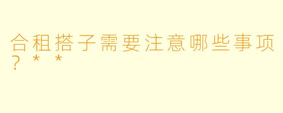 合租搭子需要注意哪些事项？**