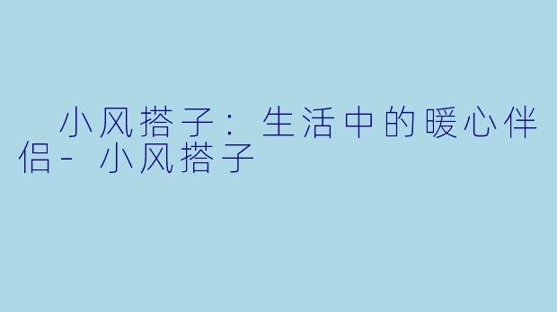  小风搭子：生活中的暖心伴侣-小风搭子