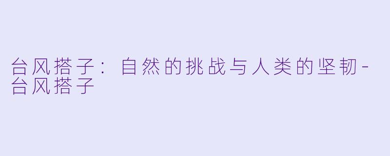 台风搭子：自然的挑战与人类的坚韧-台风搭子