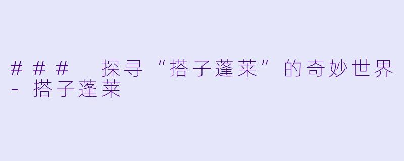 ### 探寻“搭子蓬莱”的奇妙世界-搭子蓬莱