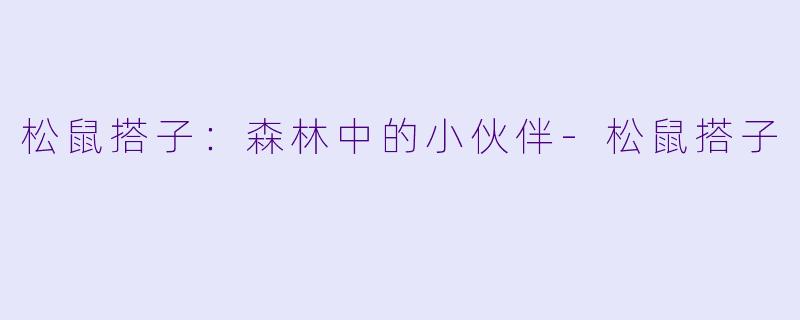 松鼠搭子：森林中的小伙伴-松鼠搭子