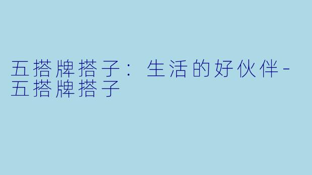五搭牌搭子：生活的好伙伴-五搭牌搭子