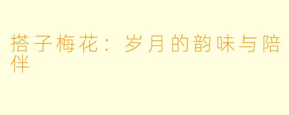 搭子梅花：岁月的韵味与陪伴