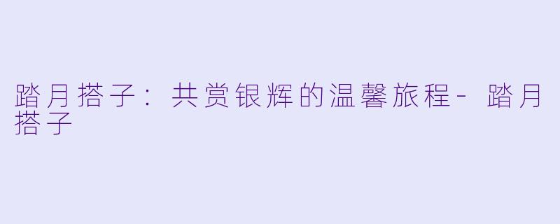 踏月搭子：共赏银辉的温馨旅程-踏月搭子