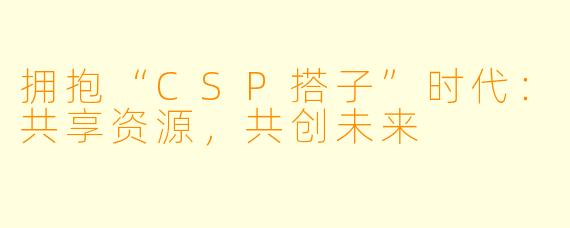 拥抱“CSP搭子”时代：共享资源，共创未来
