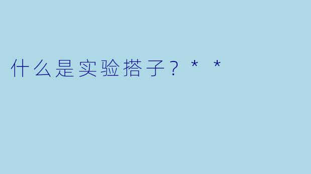 什么是实验搭子?**
