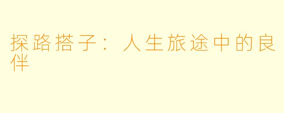 探路搭子：人生旅途中的良伴