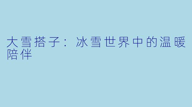 大雪搭子：冰雪世界中的温暖陪伴