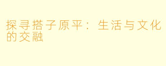 探寻搭子原平：生活与文化的交融