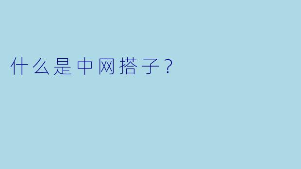 什么是中网搭子？