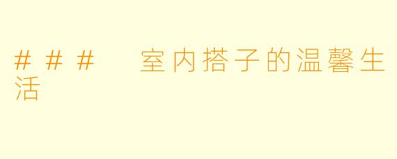 ### 室内搭子的温馨生活
