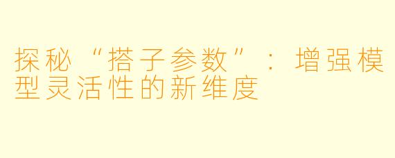 探秘“搭子参数”：增强模型灵活性的新维度