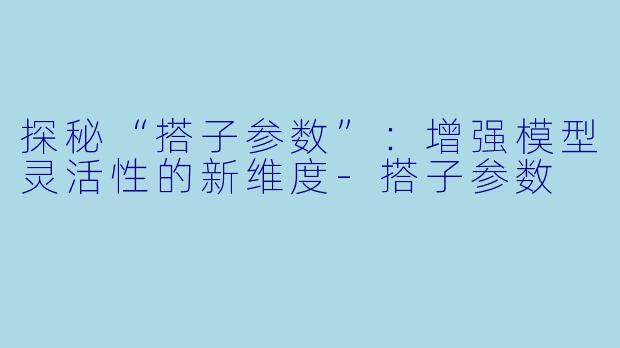 探秘“搭子参数”:增强模型灵活性的新维度