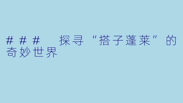 ### 探寻“搭子蓬莱”的奇妙世界