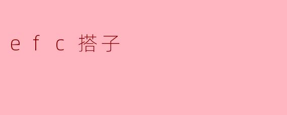 efc搭子