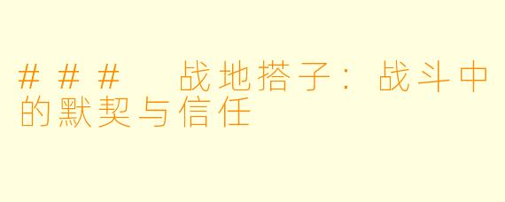 ### 战地搭子:战斗中的默契与信任