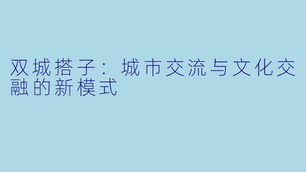 双城搭子：城市交流与文化交融的新模式