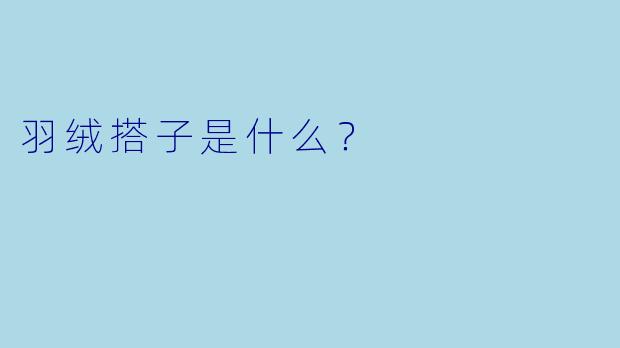 羽绒搭子是什么？