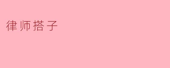 什么是律师搭子？****