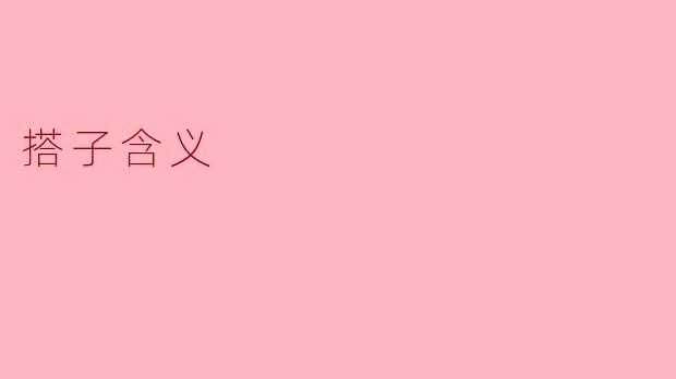 ### 搭子的含义及其社会意义