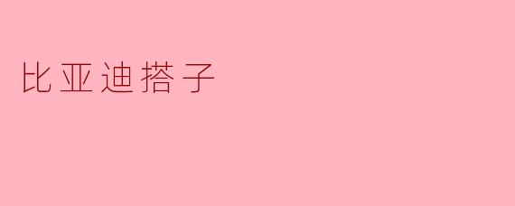 比亚迪搭子的崛起:电动出行新选择
