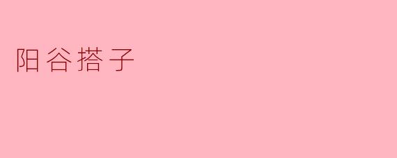 阳谷搭子:传统与现代的完美融合