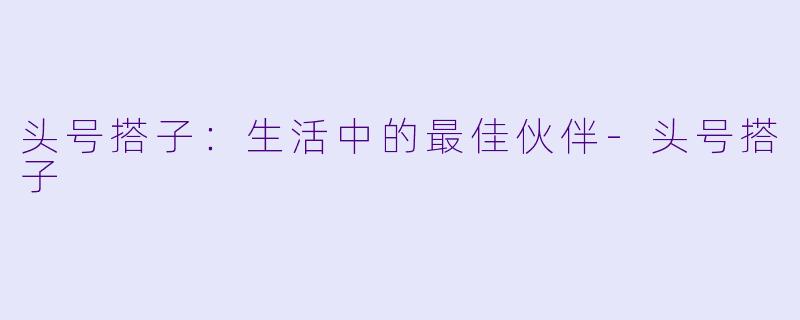 头号搭子:生活中的最佳伙伴