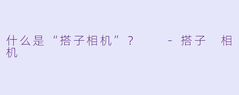 什么是“搭子相机”？  