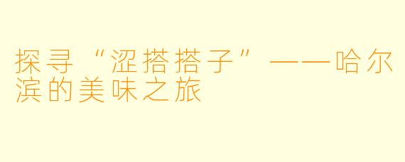 探寻“涩搭搭子”——哈尔滨的美味之旅
