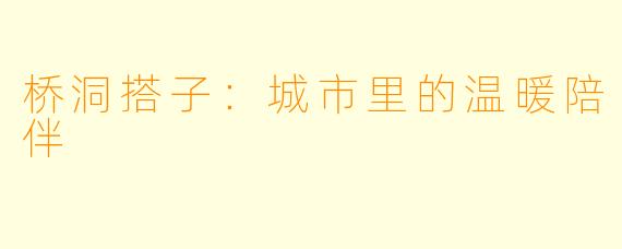 桥洞搭子：城市里的温暖陪伴