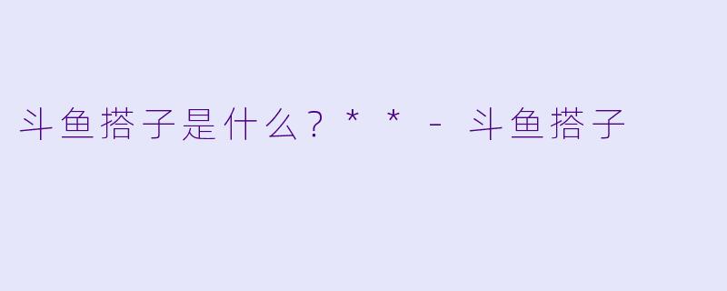 斗鱼搭子是什么？**