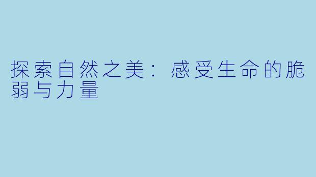 探索自然之美:感受生命的脆弱与力量