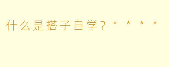 什么是搭子自学？****