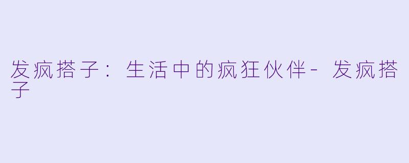 发疯搭子：生活中的疯狂伙伴-发疯搭子