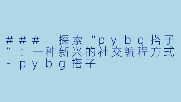 ### 探索“pybg搭子”:一种新兴的社交编程方式