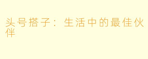 头号搭子：生活中的最佳伙伴