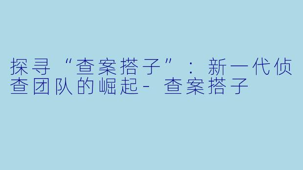 探寻“查案搭子”：新一代侦查团队的崛起-查案搭子