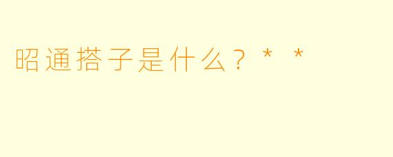 昭通搭子是什么?**